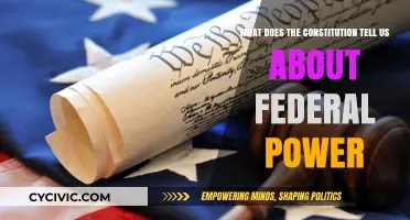 The Constitution: Federal Power Explained
