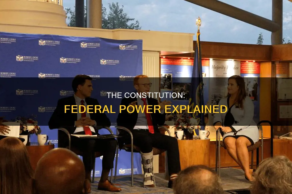 what does the constitution tell us about federal power