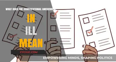 Illinois' Constitutional Amendment: What Does It Mean?