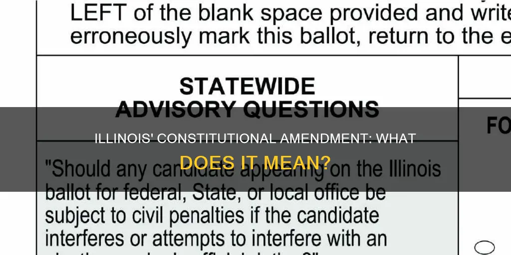 what does the constitutional amendment in ill mean