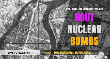 Nuclear Bombs: What Does the Constitution Say?