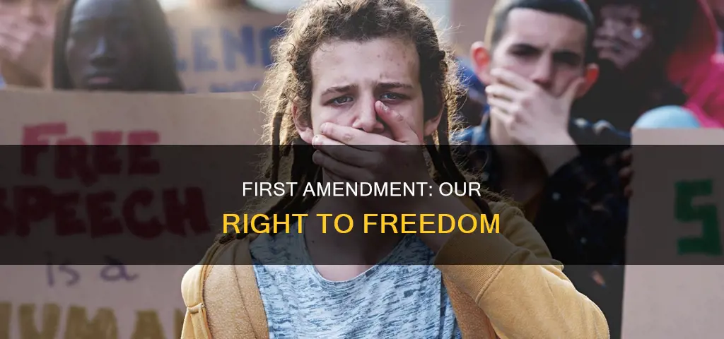 what does the constitutions first amendment do
