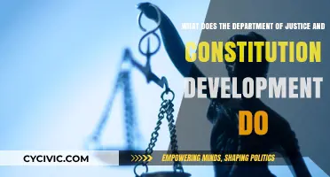 Justice and Constitutional Development: Roles and Responsibilities