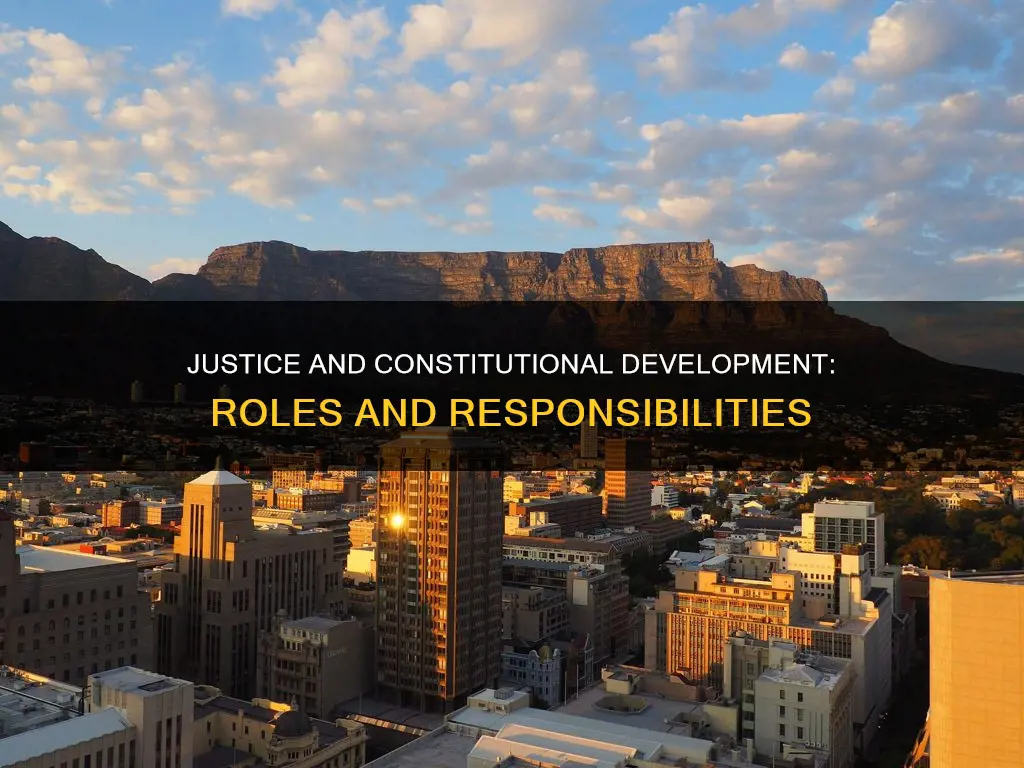 what does the department of justice and constitutional development do