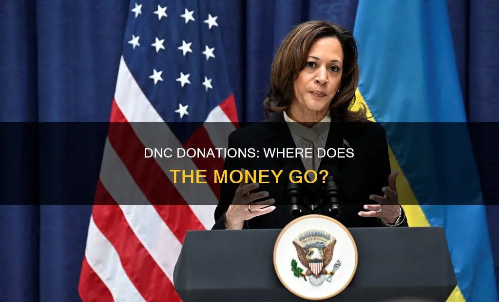 what does the dnc do with donations