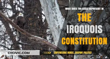 Iroquois Constitution: Eagle Symbolism and Its Significance