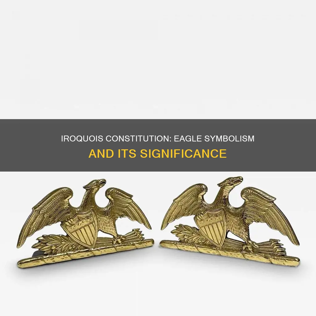 what does the eagle represent in the iroquois constitution