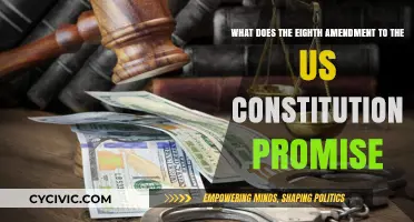 Eighth Amendment: Protection Against Cruel and Unusual Punishment