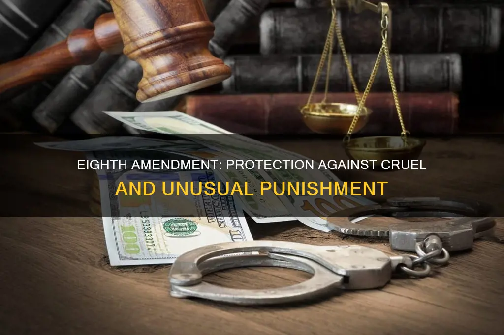 what does the eighth amendment to the us constitution promise