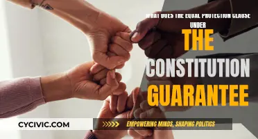 Equal Protection Clause: Constitutional Guarantee Explained