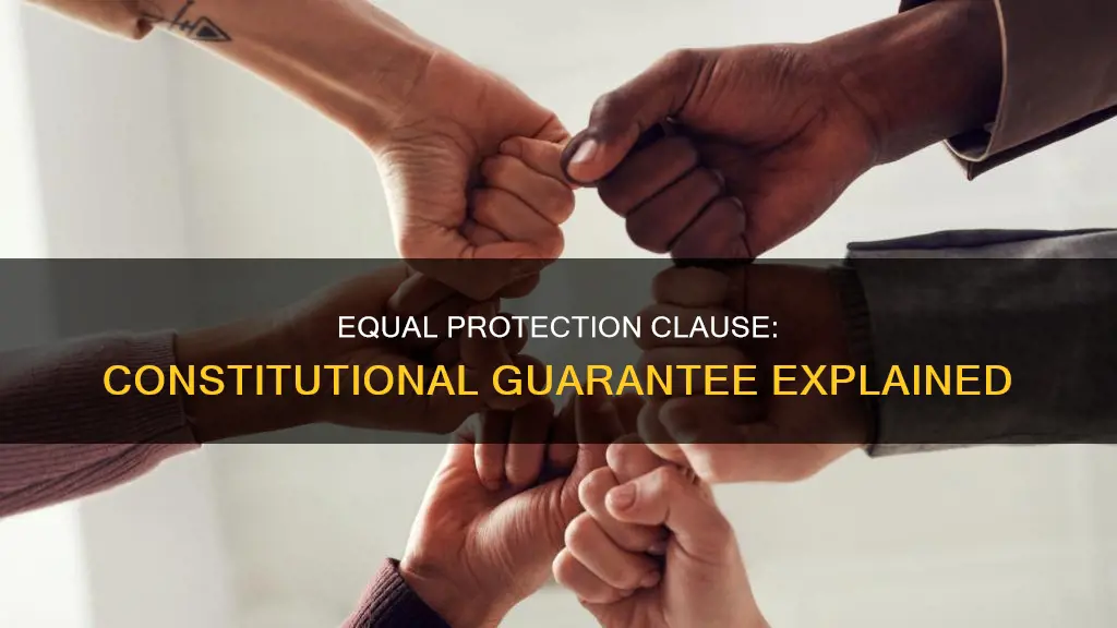 what does the equal protection clause under the constitution guarantee