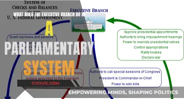Understanding the Executive Branch's Role in a Parliamentary System