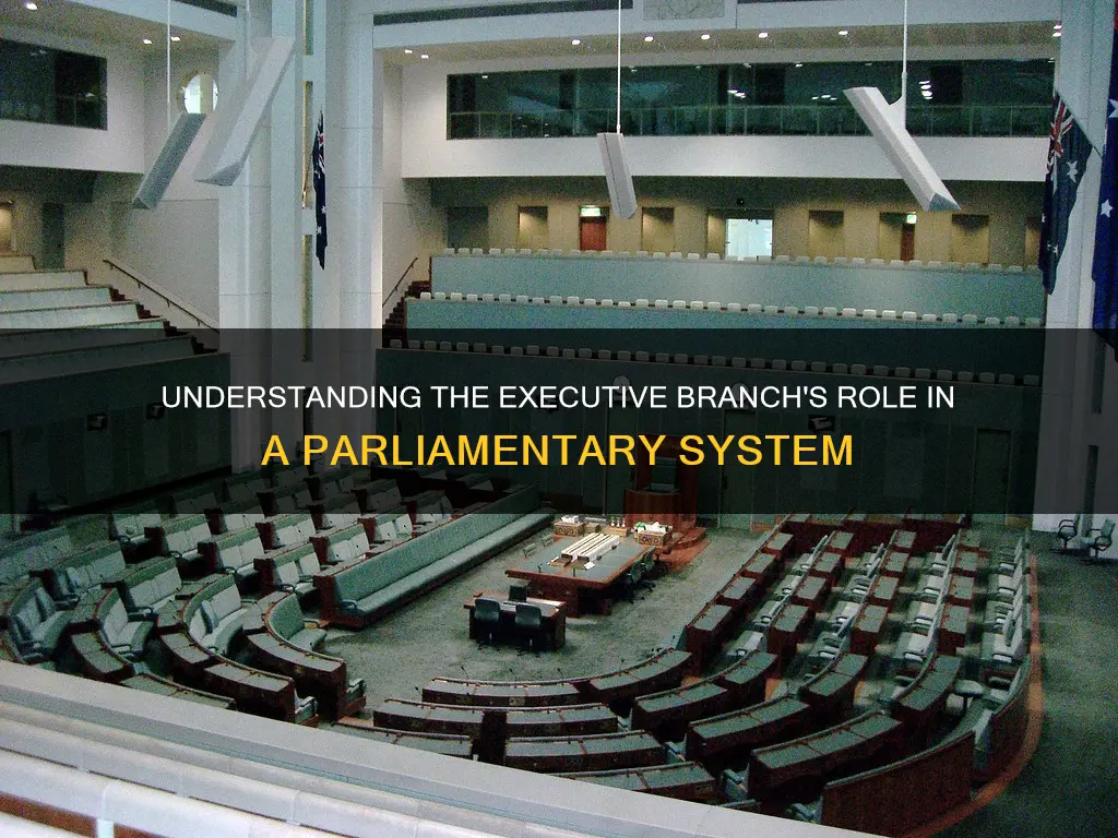 what does the executive branch do in a parliamentary system