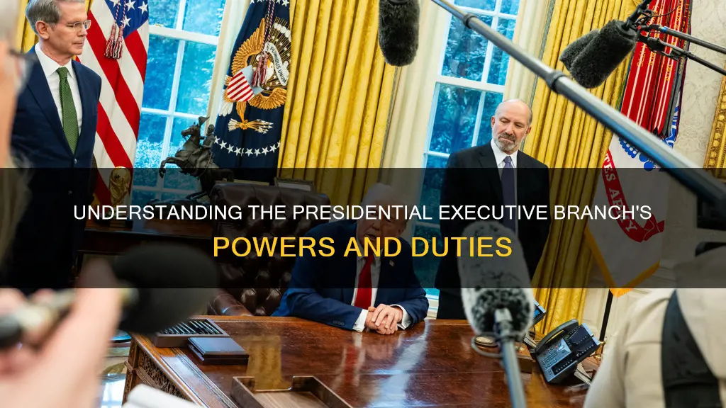 what does the executive branch do in a presidential system