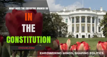 The Executive Branch: Powers and Limits