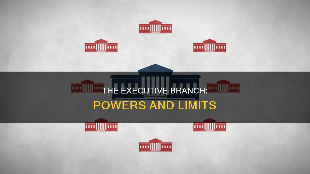 what does the executive branch do in the constitution