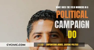 The Unseen Work: Field Workers' Political Campaign Efforts
