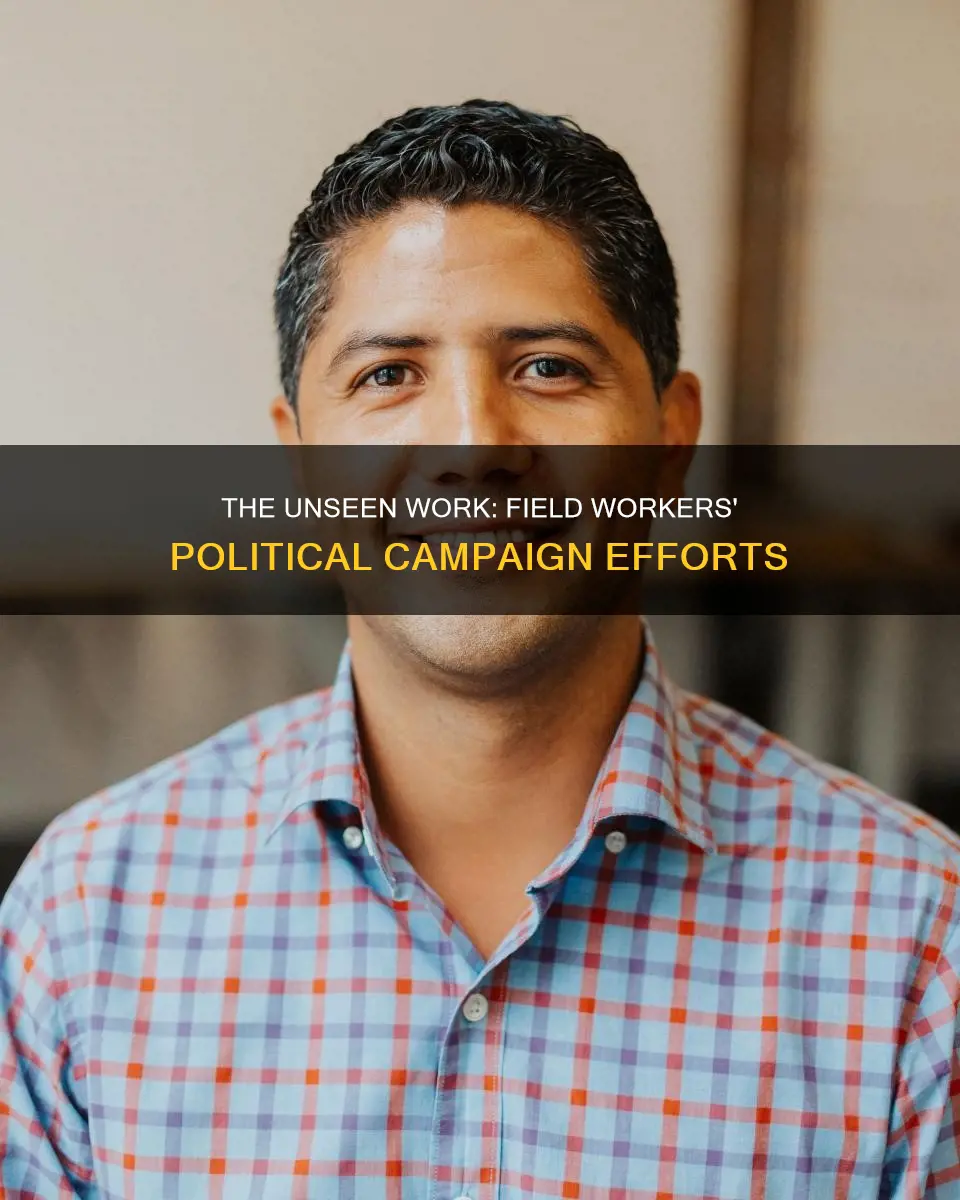 what does the field workers in a political campaign do