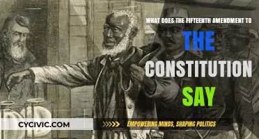 Amendment Fifteen: Voting Rights for All