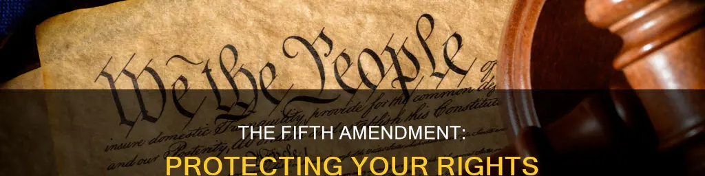 what does the fifth amendment to the constitution say apex