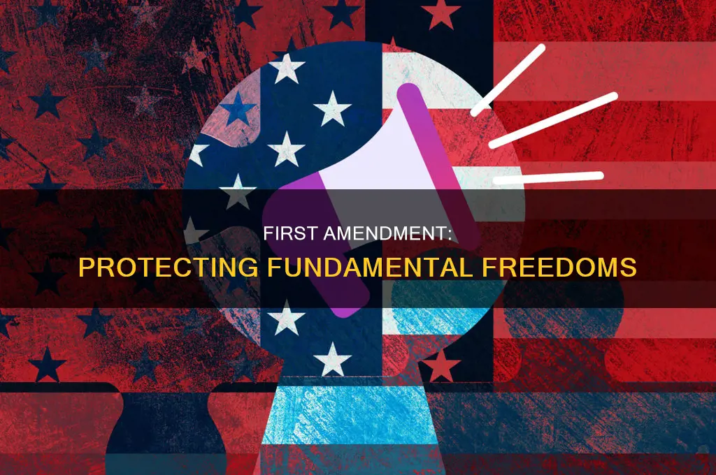 what does the first amendment concern