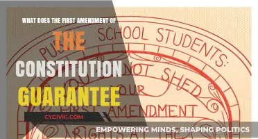 First Amendment: Freedom of Speech and Press