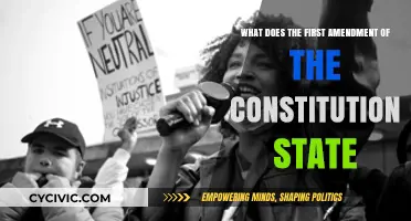 First Amendment: Freedom of Speech and Beyond