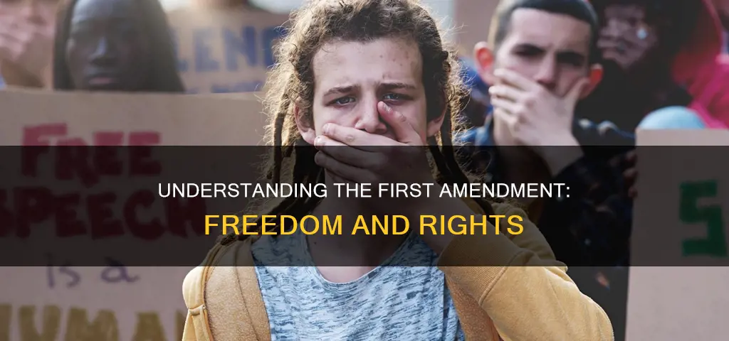 what does the first amendment of the us constitution say