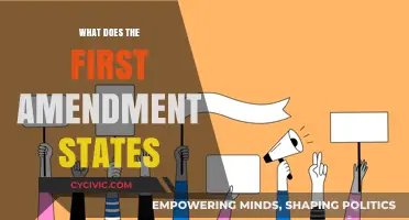 First Amendment: Freedom of Speech and Beyond