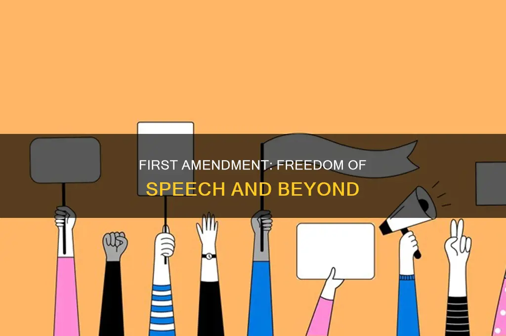 what does the first amendment states