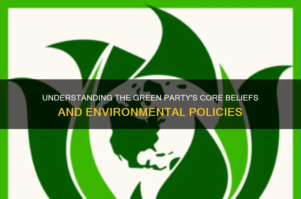 what does the green political party believe