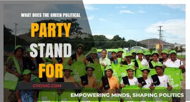 Understanding the Green Party's Core Values and Environmental Policies