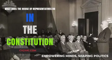 Understanding the House of Representatives' Constitutional Role