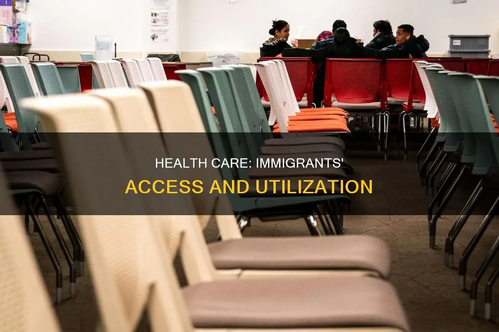 what does the immigrant population constitute of health care