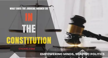The Judicial Branch: Interpreting the Constitution