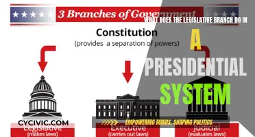 Legislative Branch Powers in a Presidential System