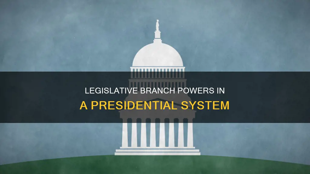 what does the legislative branch do in a presidential system