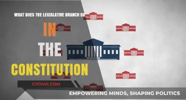 Legislative Branch Powers and the Constitution