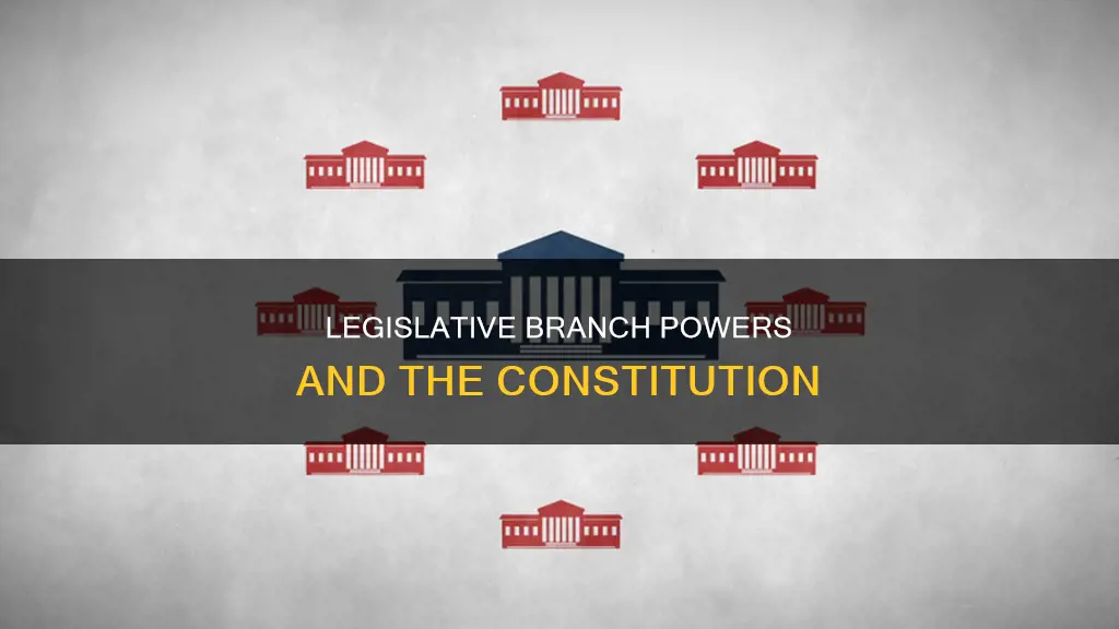 what does the legislative branch do in the constitution