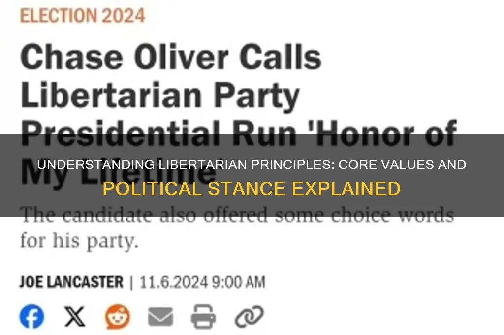 what does the libertarian political party stand for