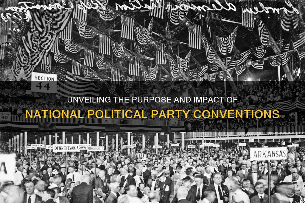 what does the national political party convention accomplish
