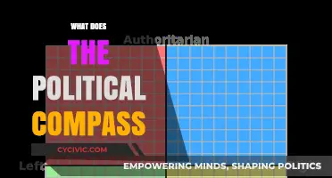 Understanding the Political Compass: Mapping Ideologies and Beliefs