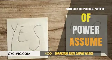 Opposition's Role: Assumptions and Strategies of Out-of-Power Political Parties