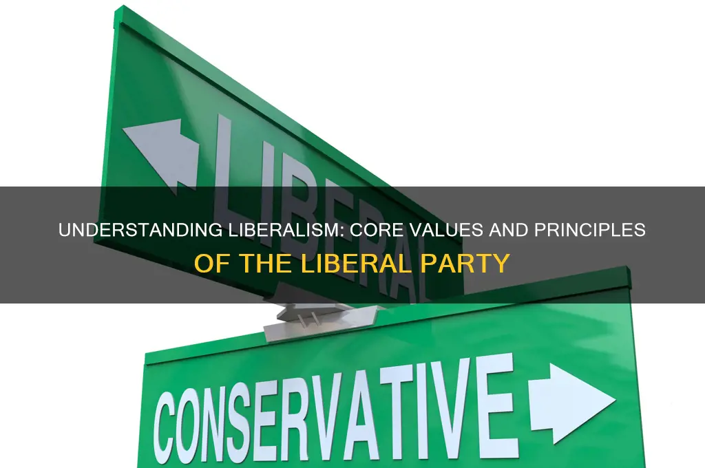 what does the political party stand for liberal