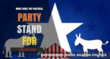 Understanding Political Ideologies: What Does Your Party Truly Stand For?