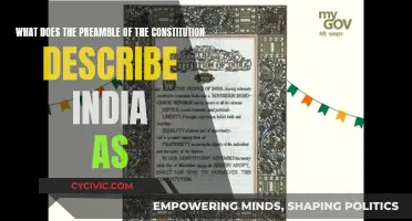 India's Constitution: Preamble Promises and India's Identity