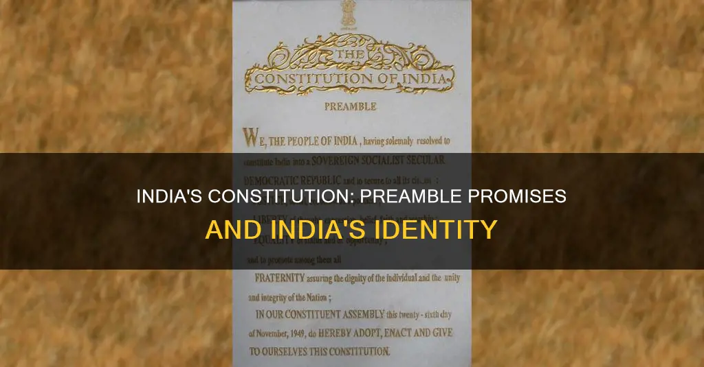 what does the preamble of the constitution describe india as