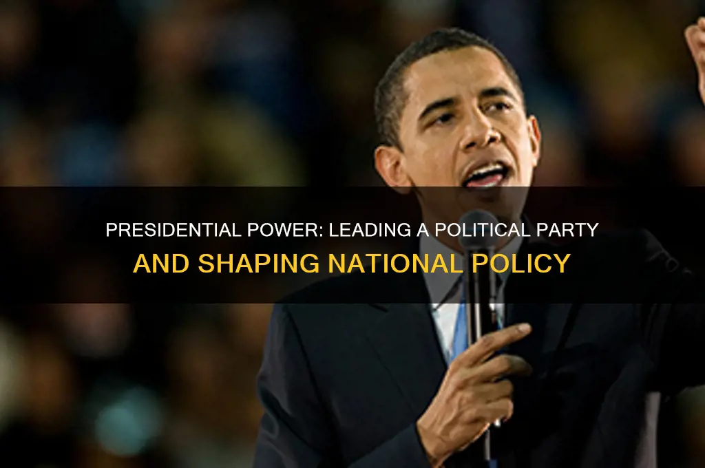 what does the president do as political party leader