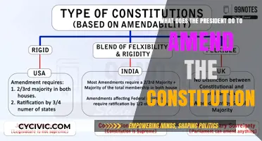 Amending the Constitution: The President's Role and Power
