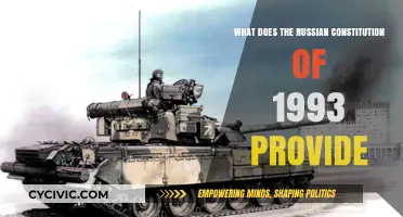 The Russian Constitution of 1993: Rights and Freedoms